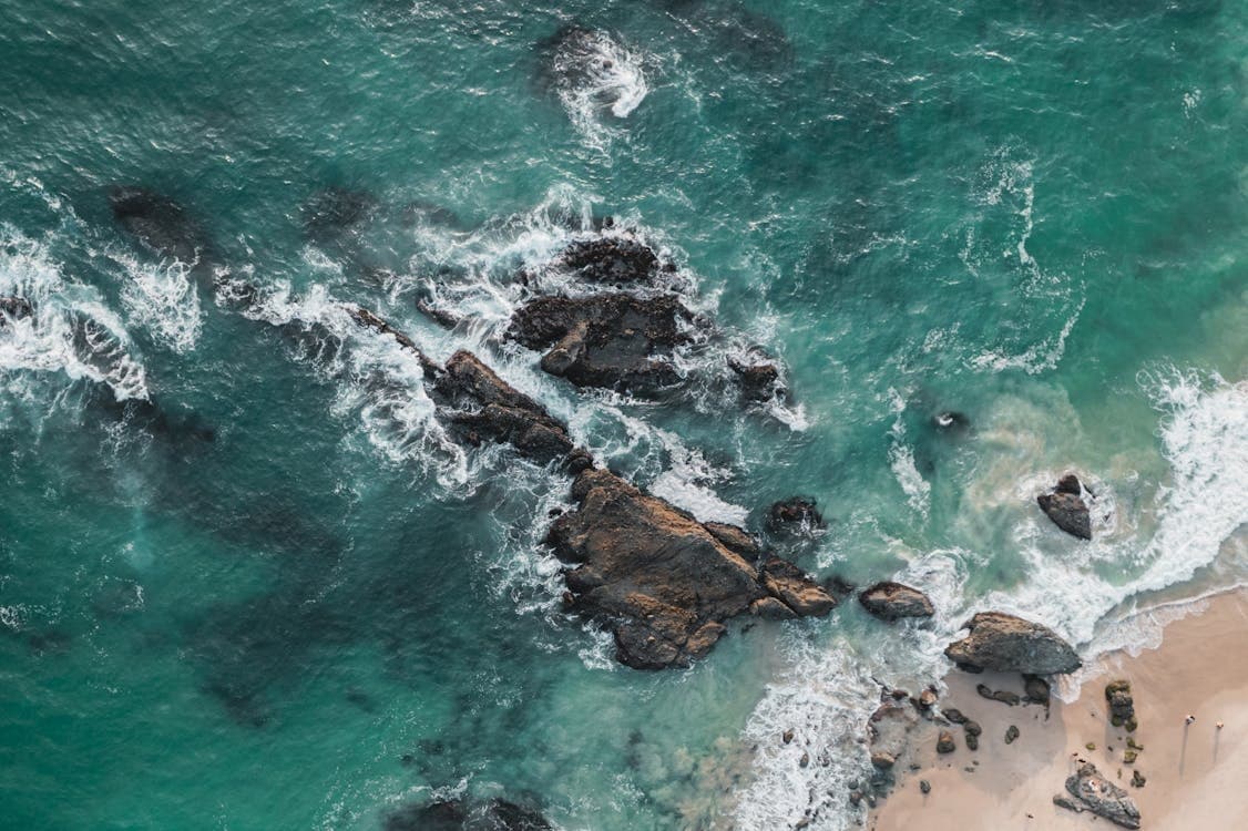 Master the Waves at Surf Lessons Laguna: Personalized Surf Coaching in Laguna Beach