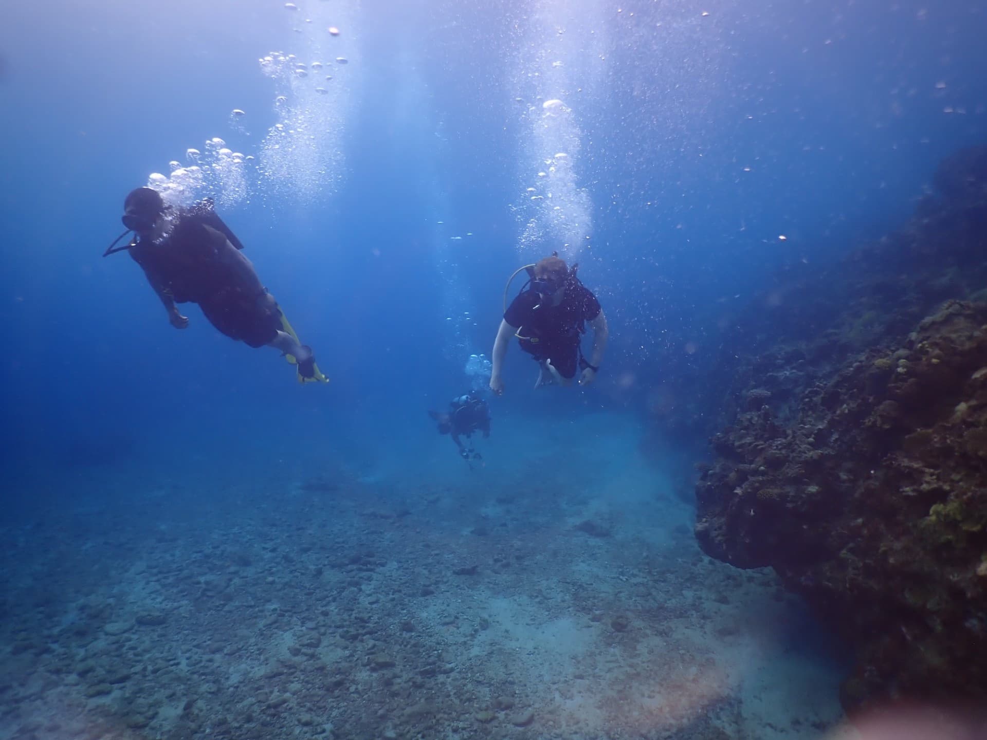 Open Water Course by The Dive Institute in Key Largo
