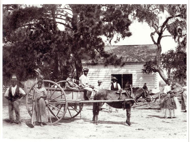 African American Heritage Tour with Bulldog Tours in Charleston