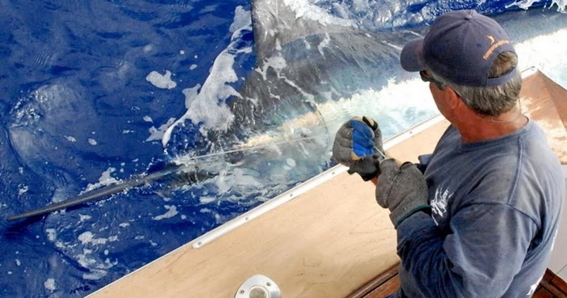 Big Game Fishing with Granders University in Kailua-Kona