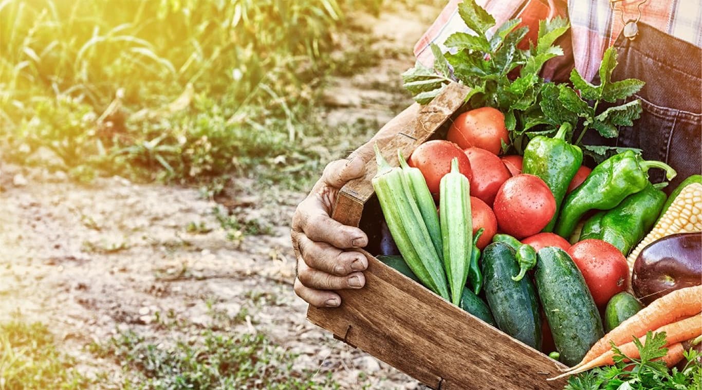 Experience Autumn’s Best at Shawnee Farm to Table Dinners by the Delaware River