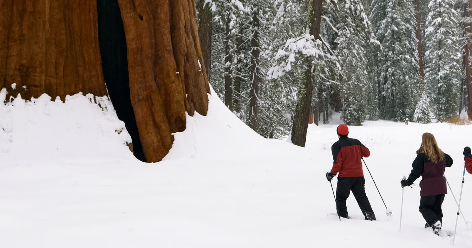 Snowshoe the Sequoias: 72-Hour Winter Rentals at Lodgepole Market