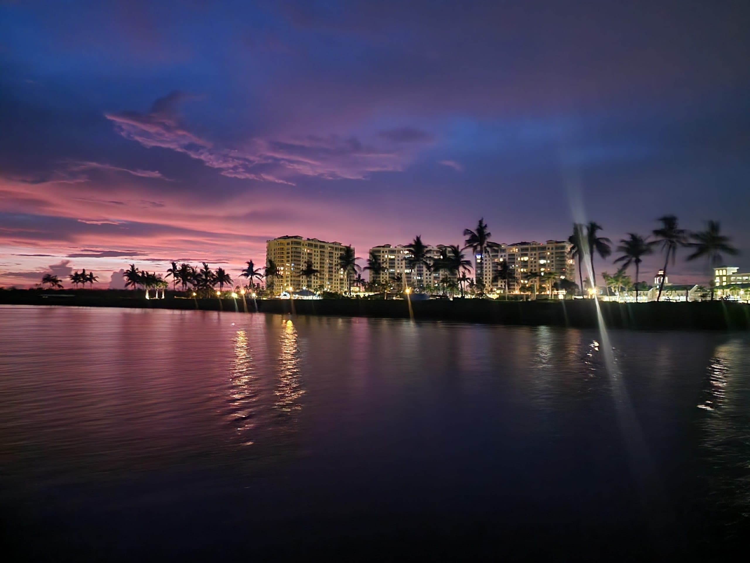 Night waterfront skyline with palm silhouettes reflecting on bay