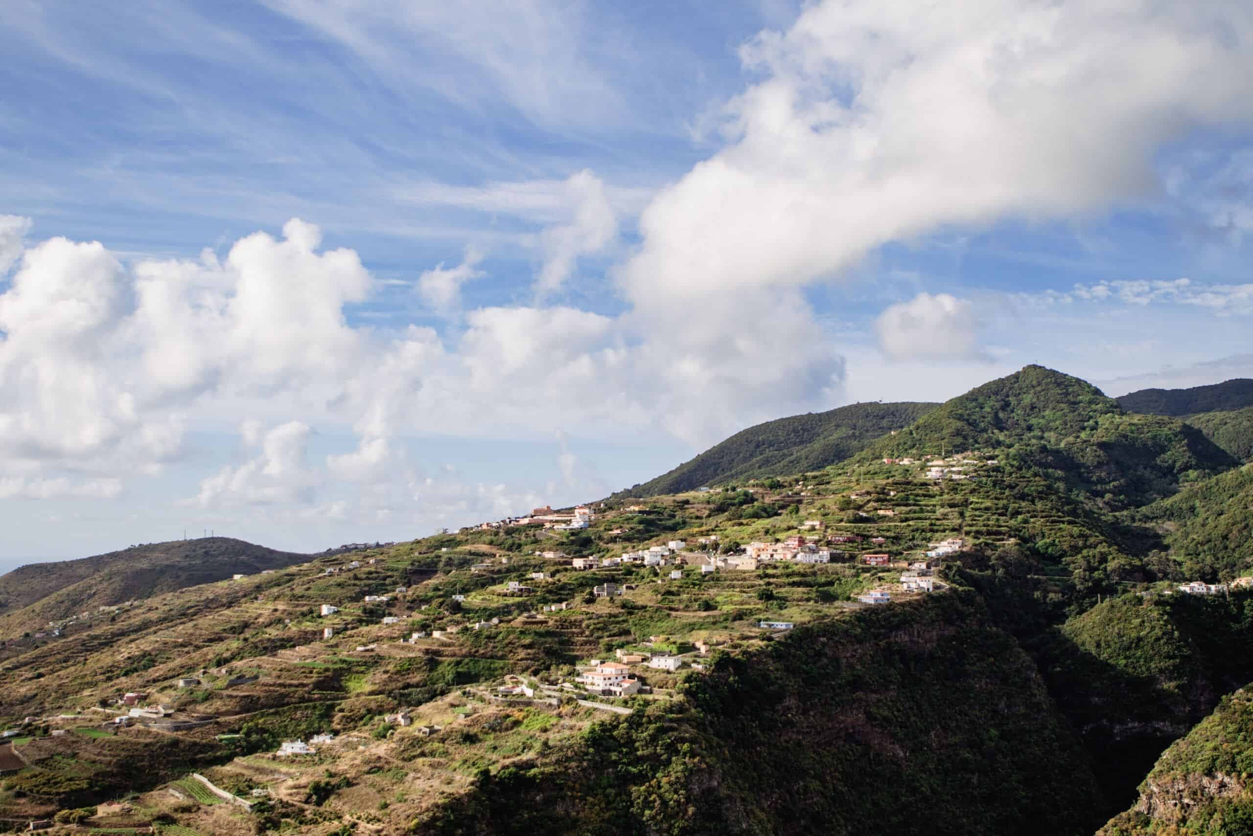 La Palma Botánica: Mountain-to-Sea Botanical Tour of North La Palma