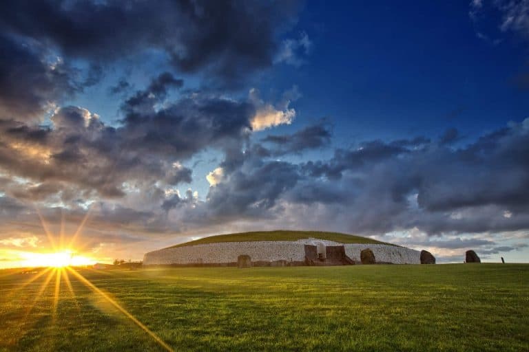 Exclusive Tours Ireland fleet