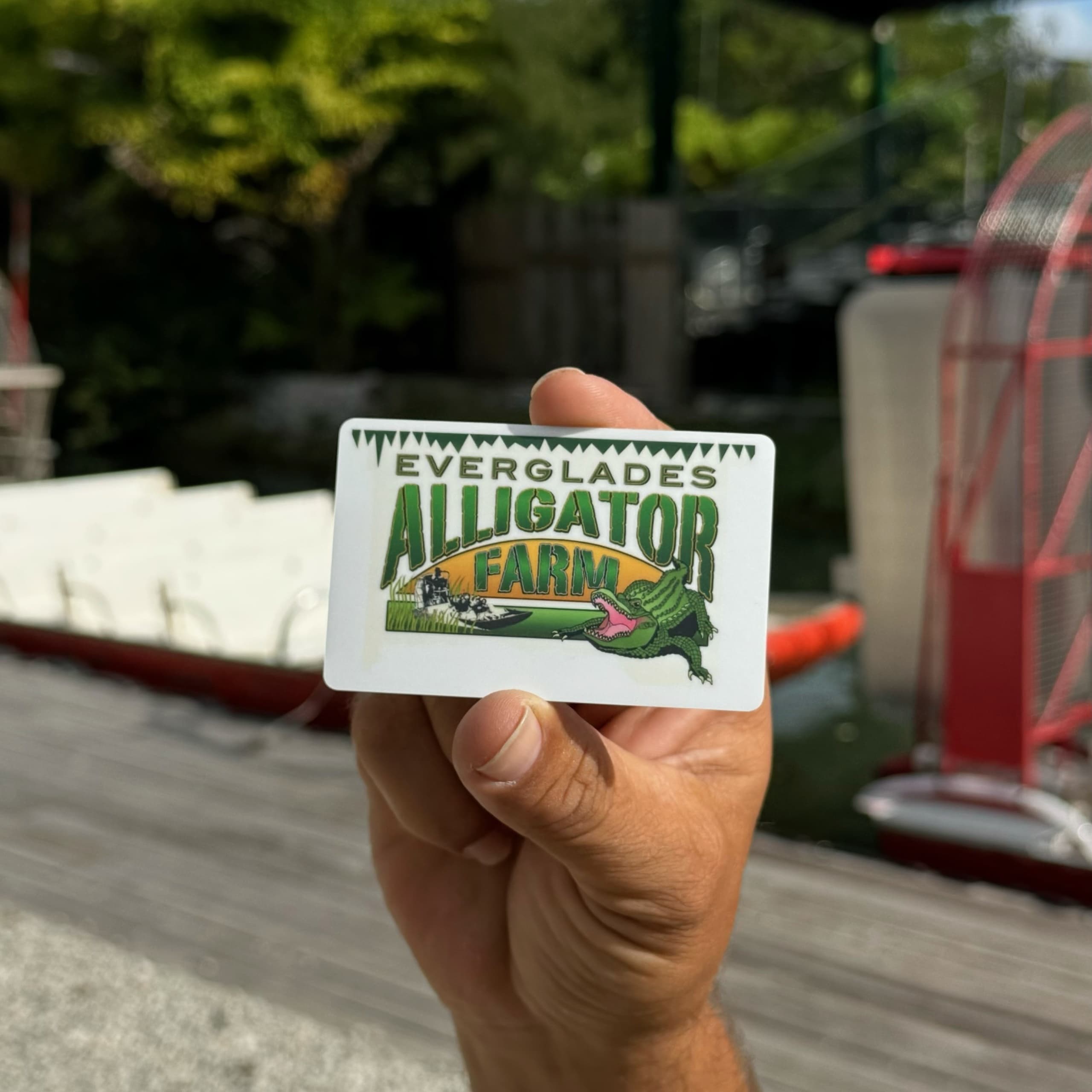 Year-Round Airboat Adventures at Everglades Alligator Farm