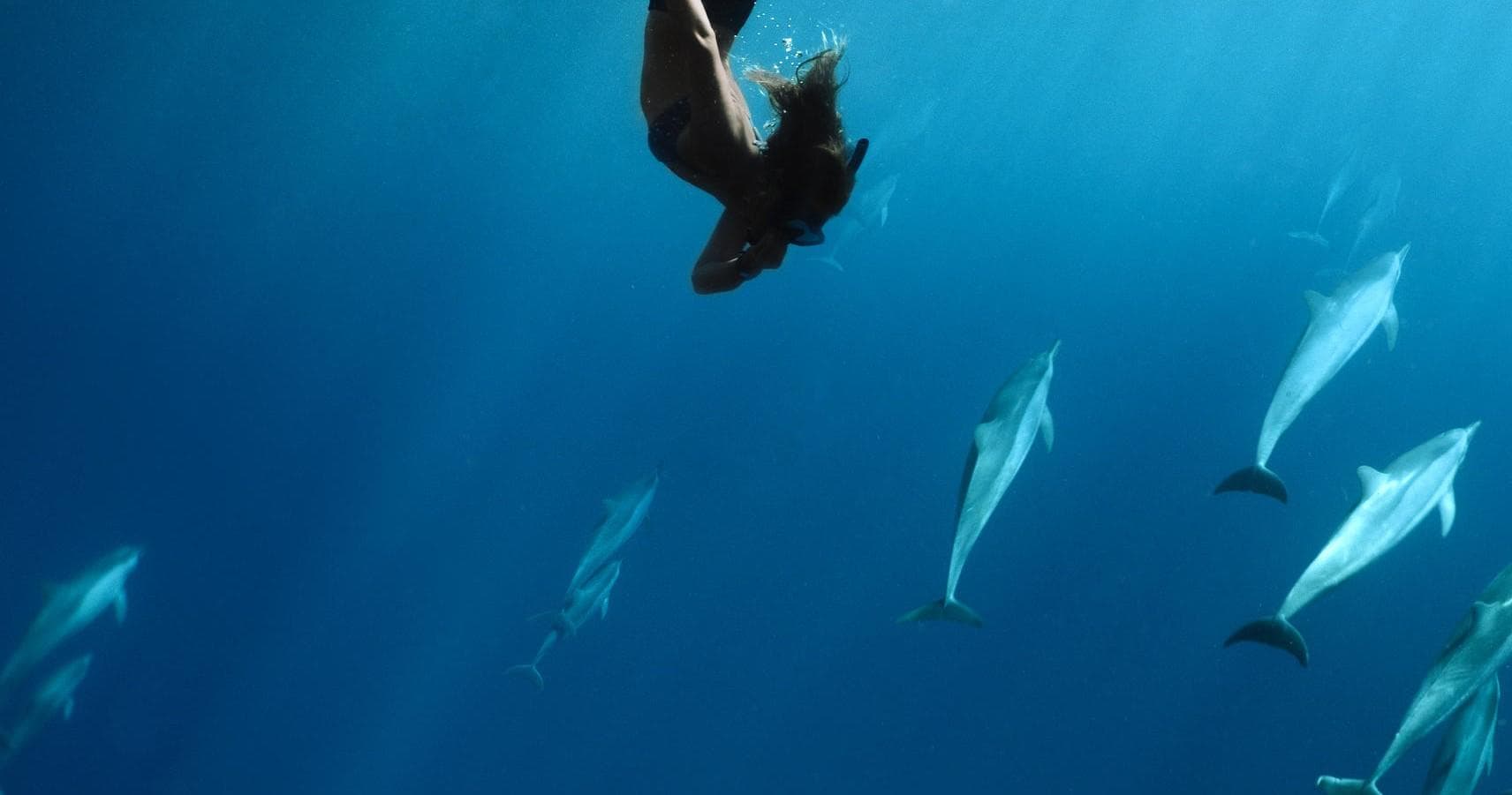 Morning Lana‘i Snorkel Tour in Maui’s Marine Paradise