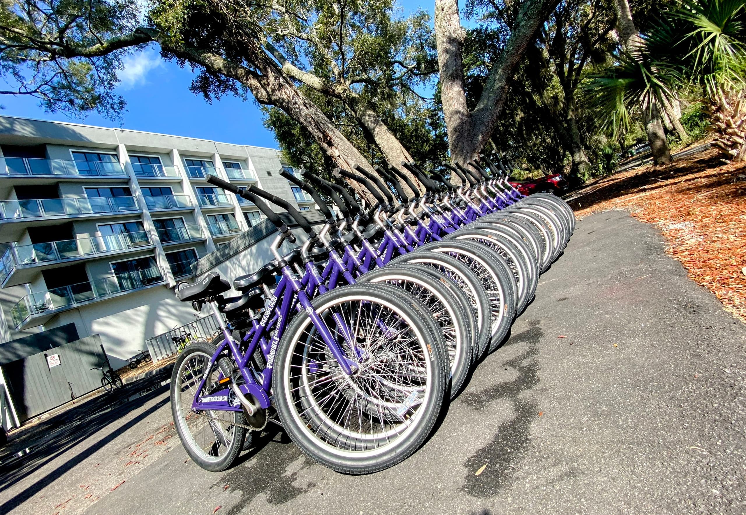 Day Rental Bike Adventure on Hilton Head Island