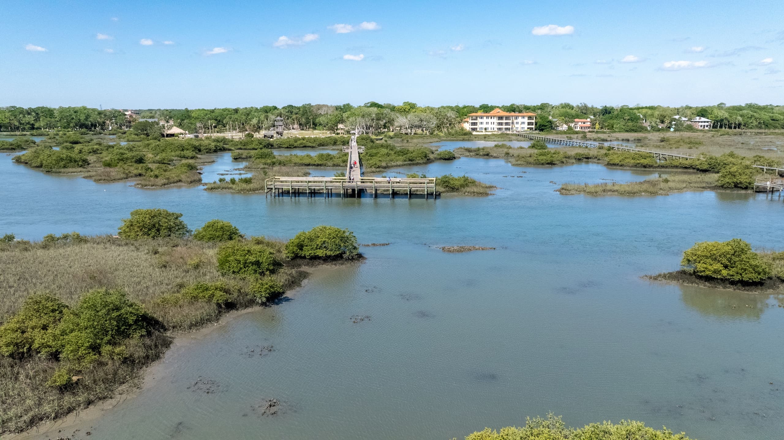See-Through Seas: Clear Kayak Tours on St. Augustine's Historic Coast photo 3
