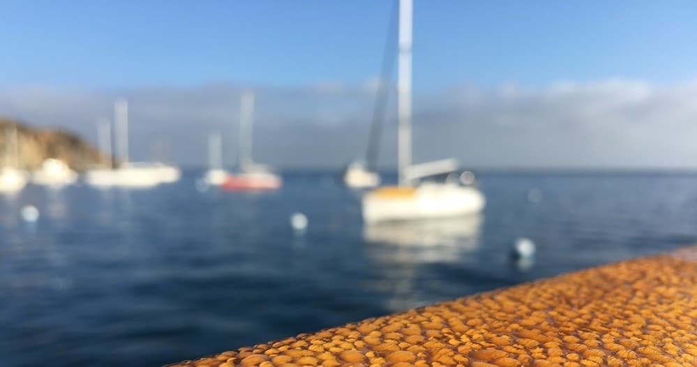 Celebrate on the Water: Private Boat Cruises in Marina del Rey