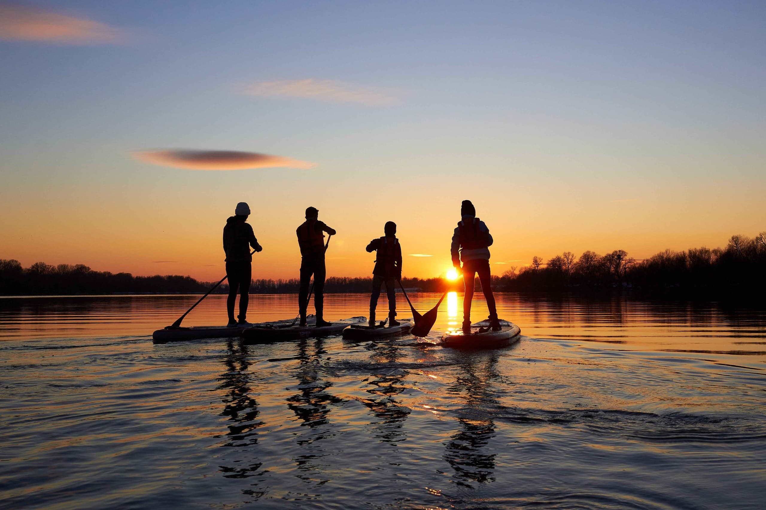 Explore the Tranquil River Dart: A Guided Canoe Adventure from Totnes