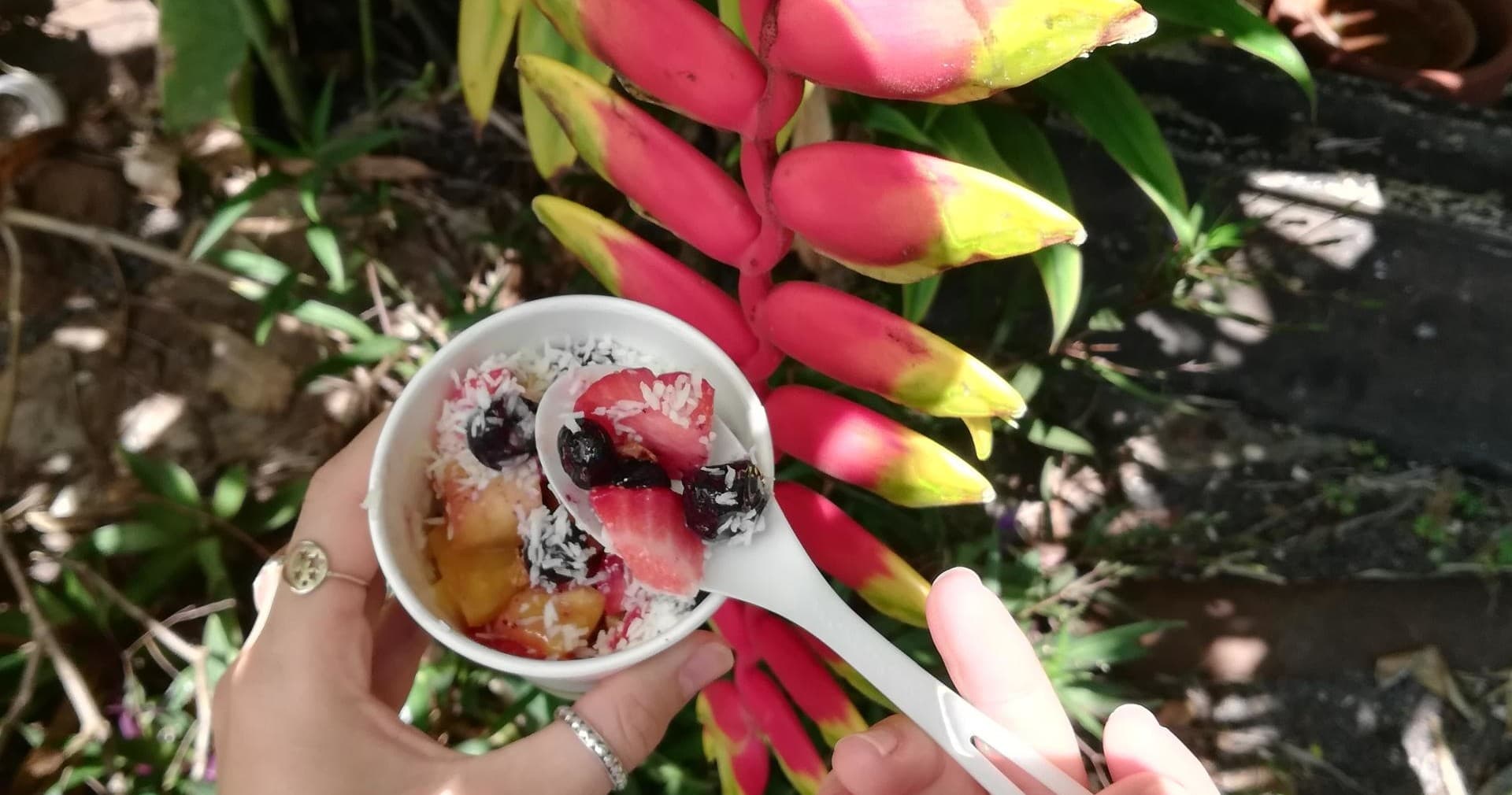 Hanapepe Walking Food Tour: Hawaiian Culinary Journey