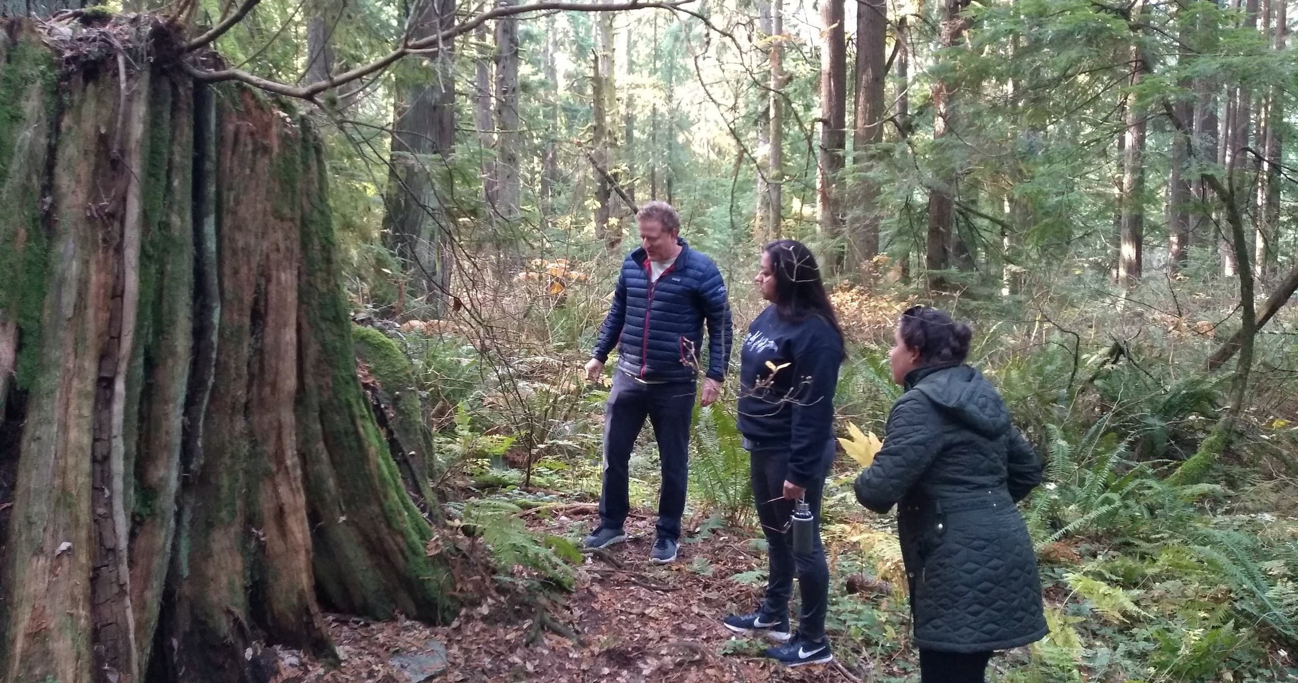Guided Forest Bathing with Eco-Awakening in Coquitlam