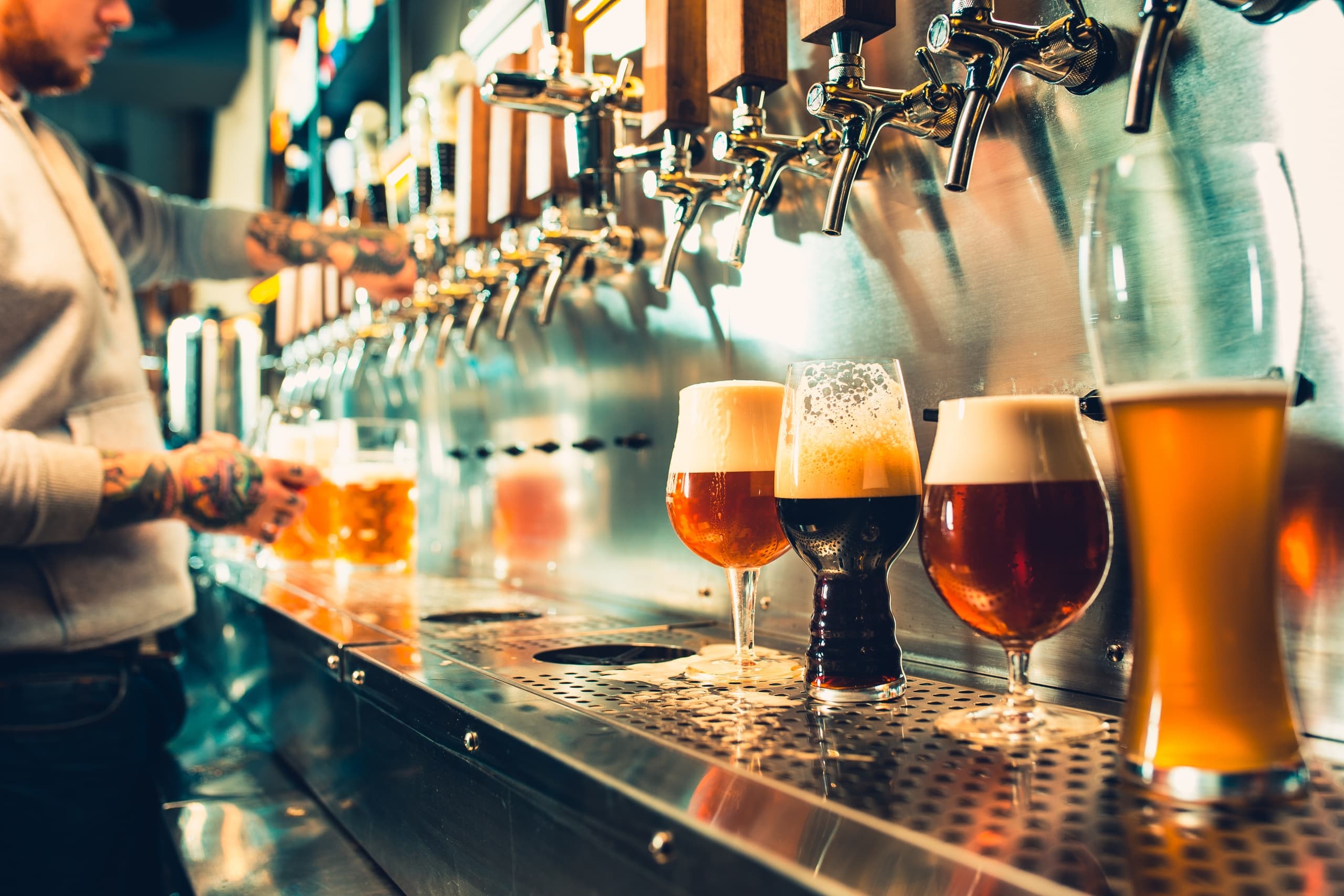 Stouts & Sours Brewery Tour in Fort Collins, Colorado