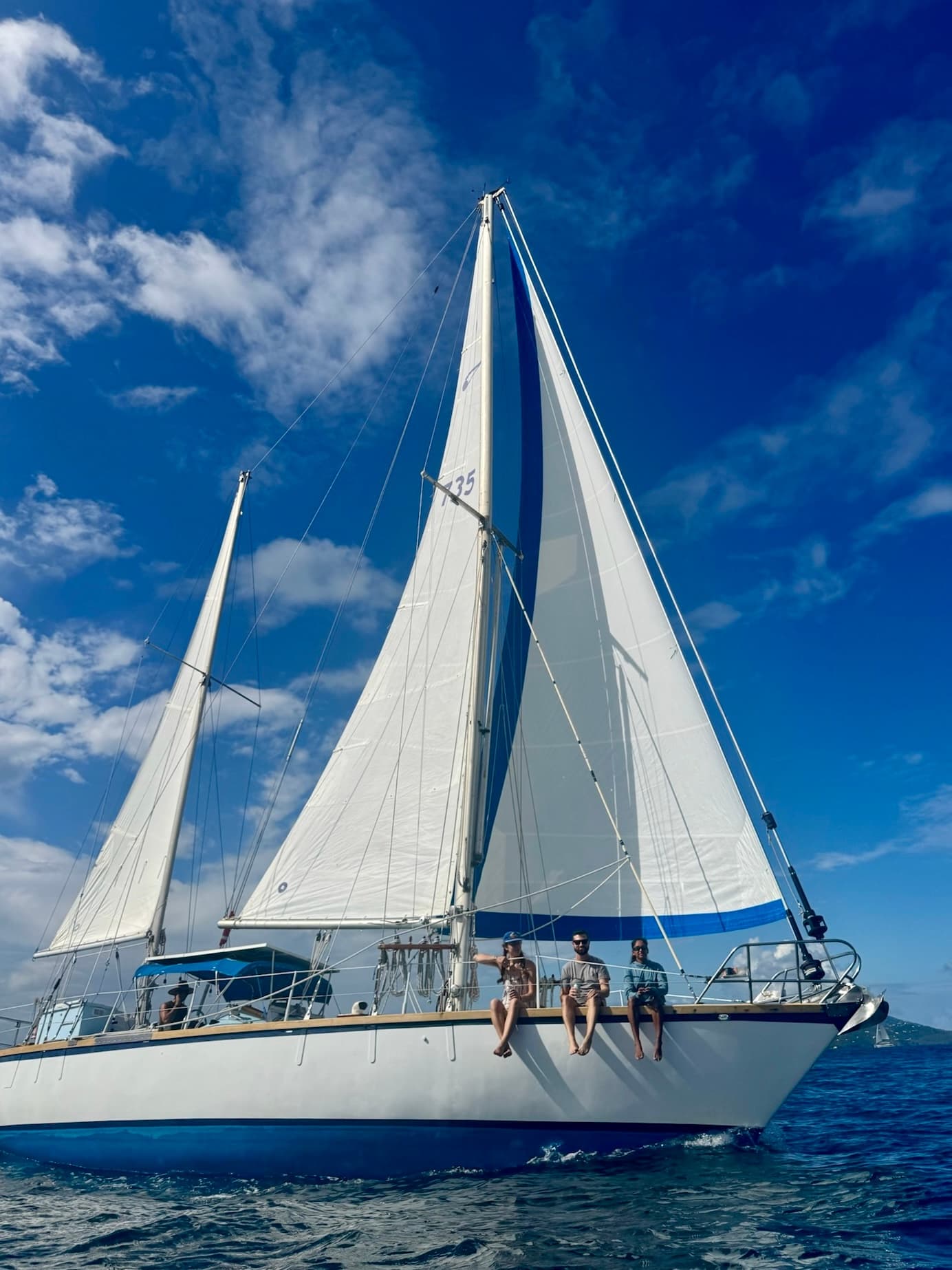 Sailing Melita fleet