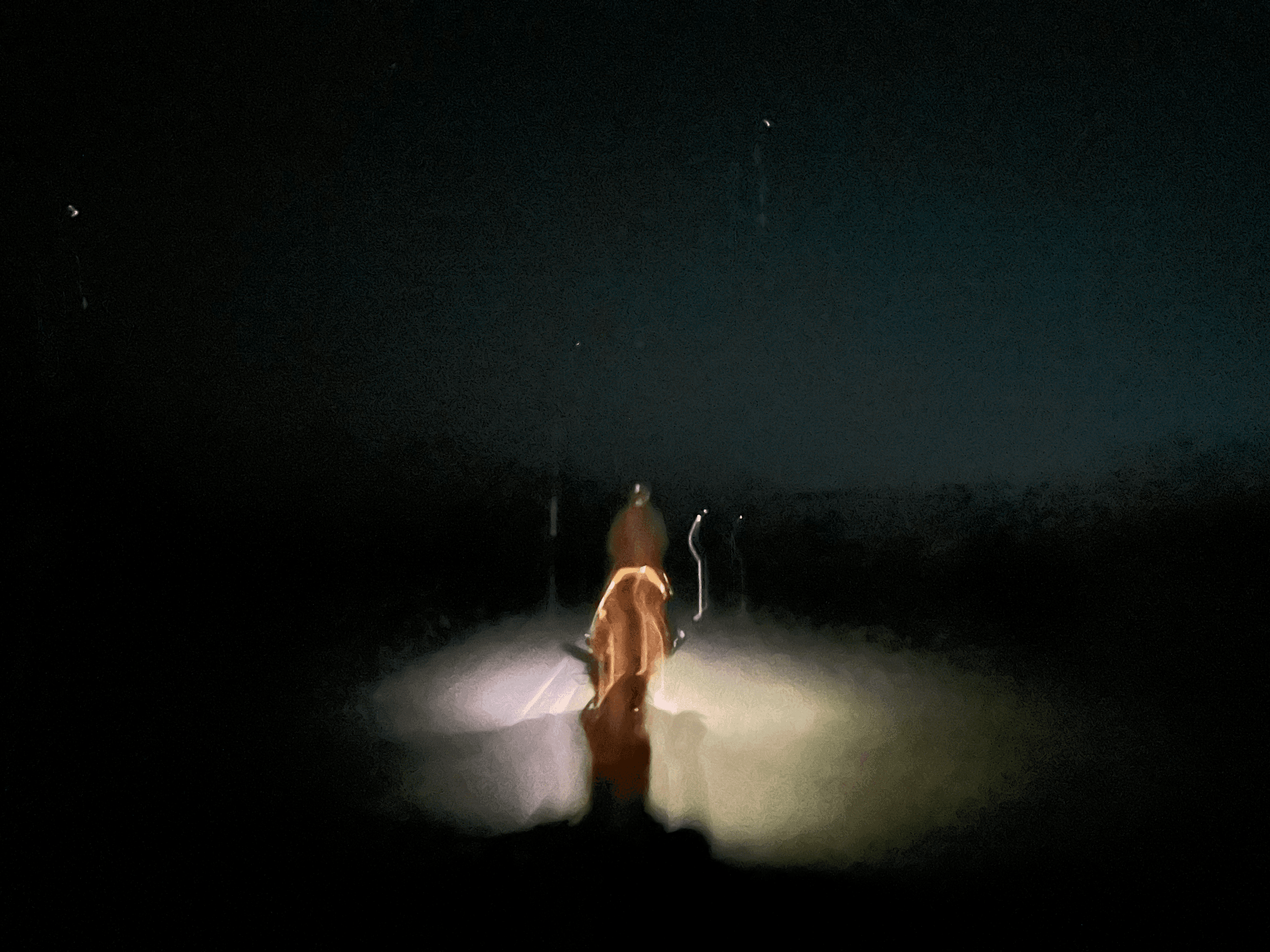 Lluvia de Estrellas Night Ride — Moonlit Horseback & Stargazing on Vieques