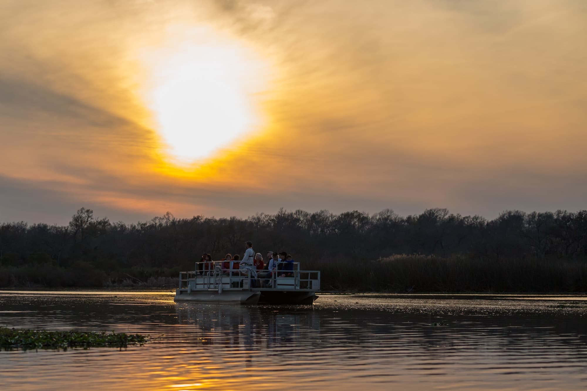 Sunset Cruise on Armand Bayou: Wildlife & Scenic Boat Tour