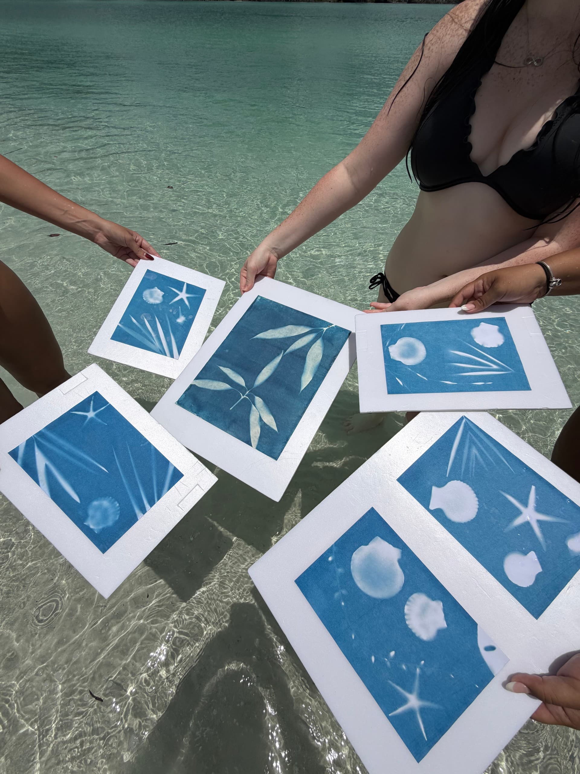 Ten Thousand Islands Shelling Cruise & Cyanotype Sun Prints from Naples photo 2