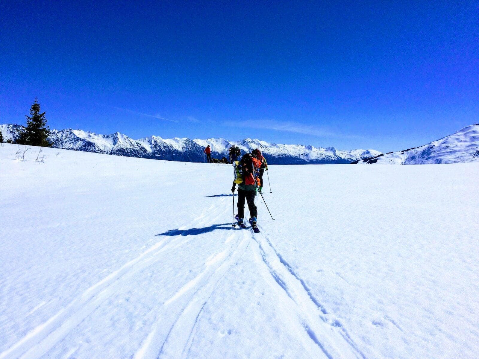 Backcountry Skiing & Splitboarding in Seward, Alaska