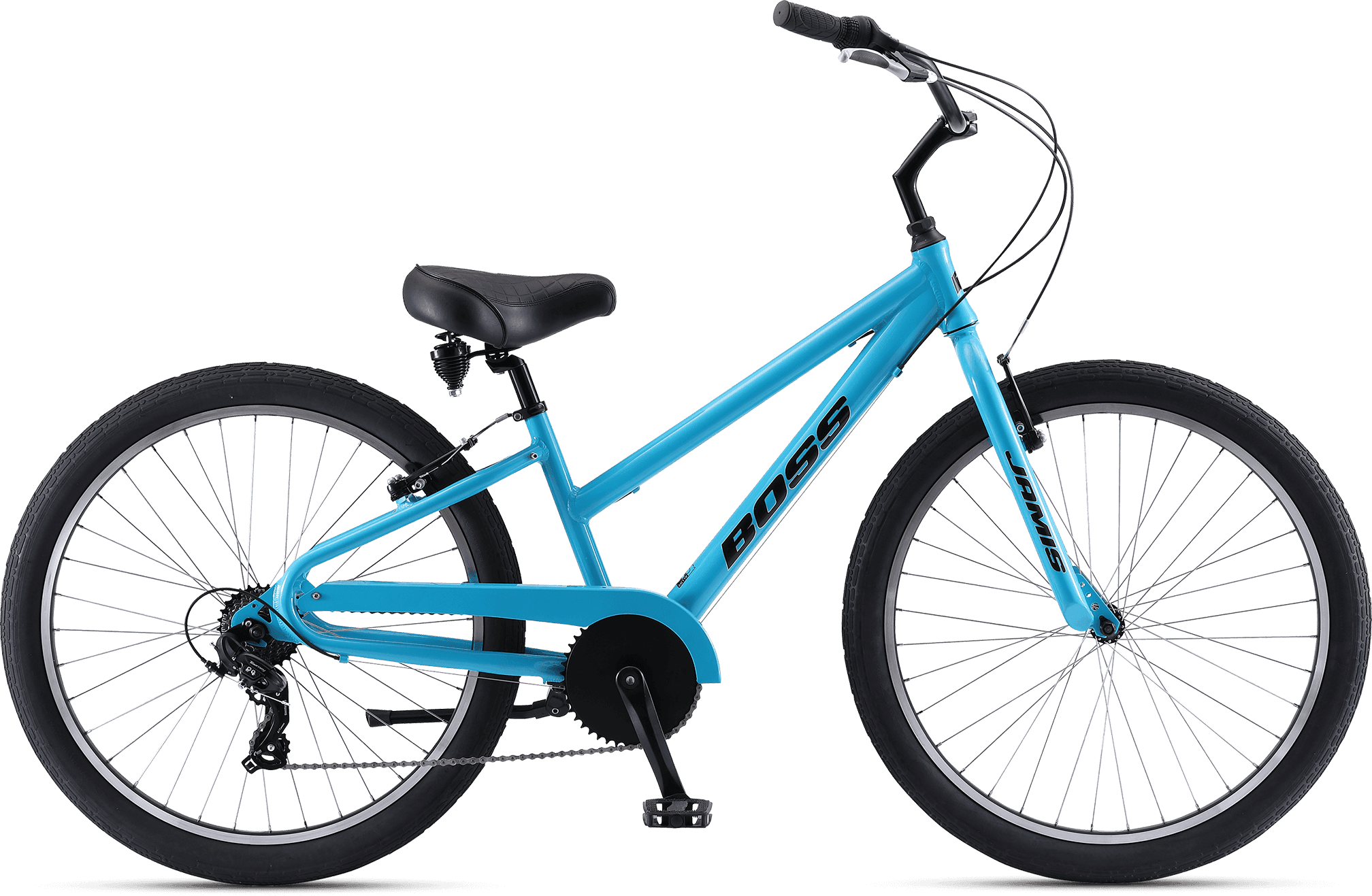 Bike Rentals & Boss Seven Speed Adventures at Marco Island