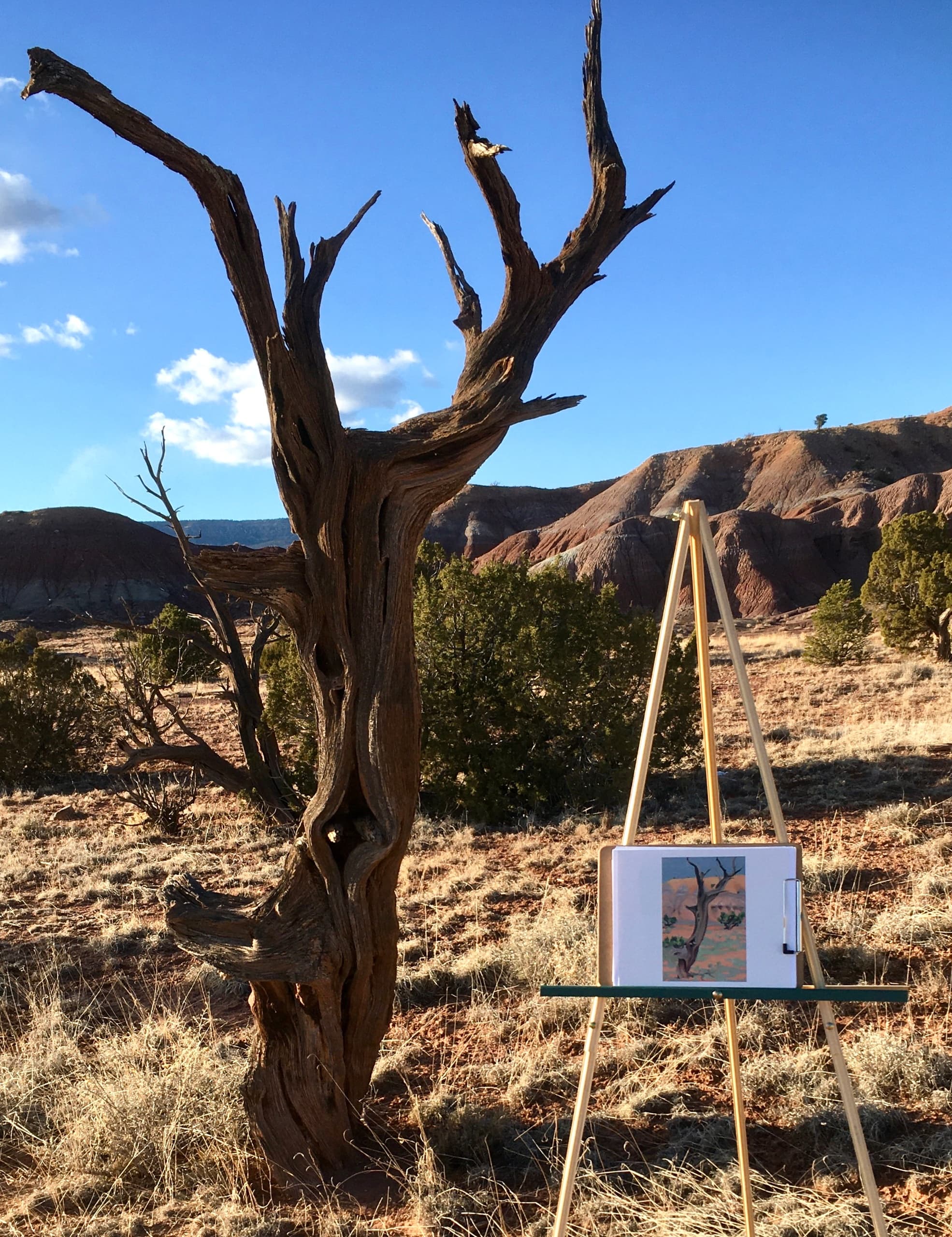 Private Georgia O'Keeffe Tours in Abiquiu, New Mexico