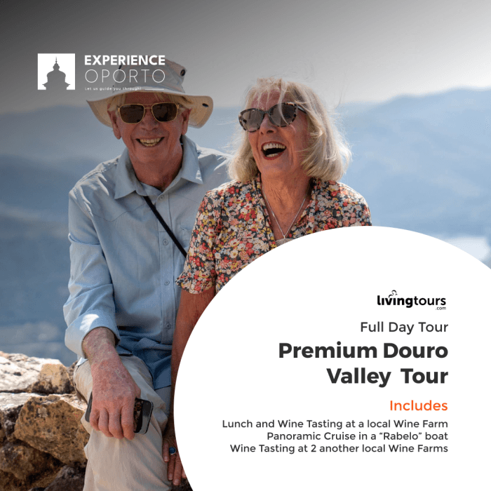 Premium Douro Valley Wine Tour with Experience Oporto