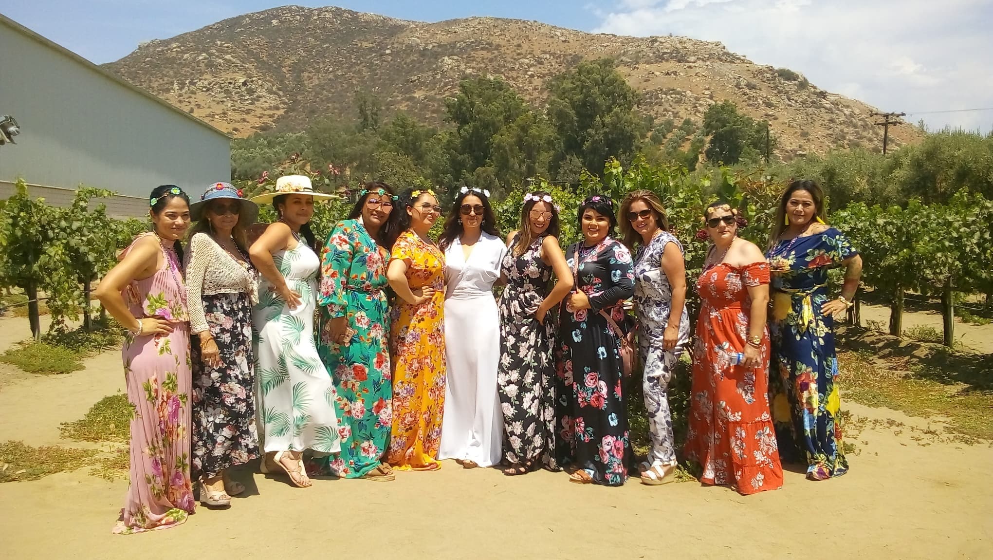 Land Adventures: Surf Ensenada's Wine Tour Experience