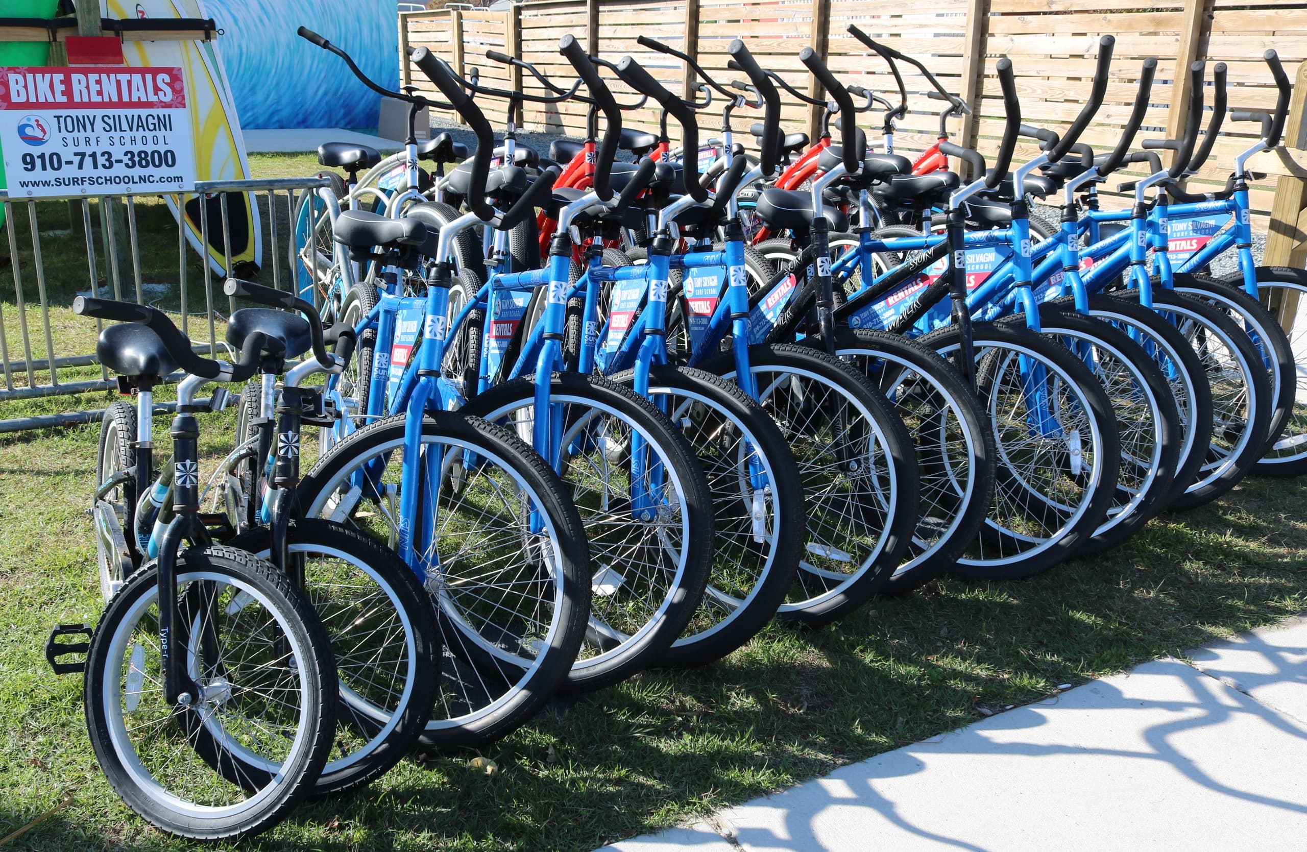Beach Cruiser Bike Rentals with Tony Silvagni Surf School