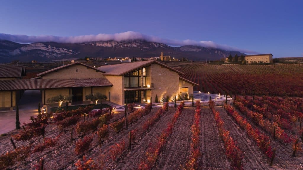Aerial view of vineyard rows with tasting room, wine tour landscape