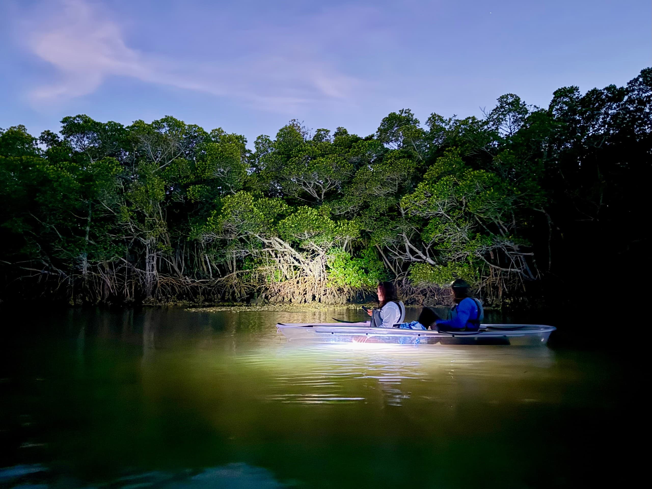 Clearwater Cooper's Bayou Glow: Clear Kayaks & Bioluminescence Night Tour photo 3