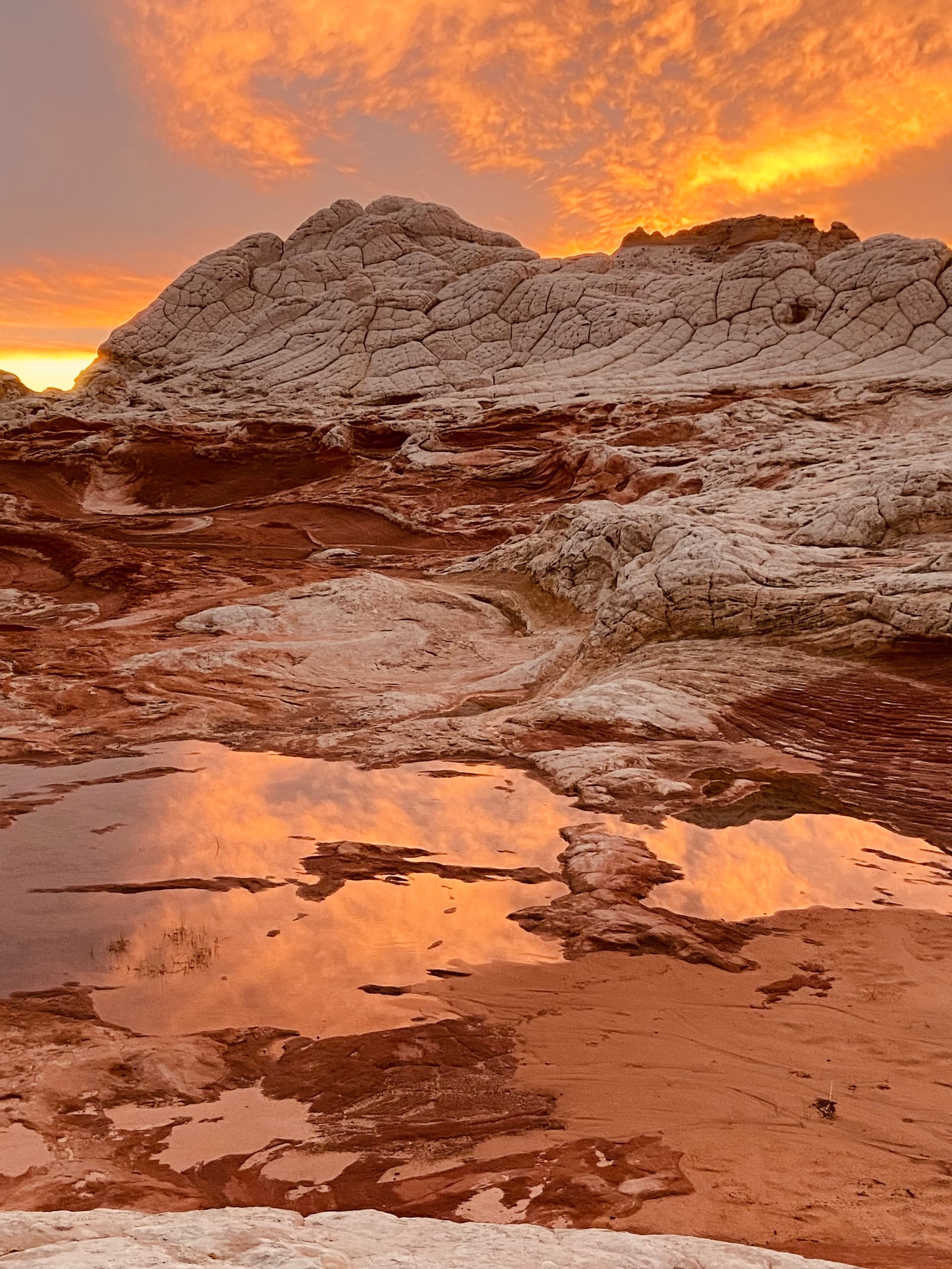 Explore Group White Pocket near Kanab, Utah