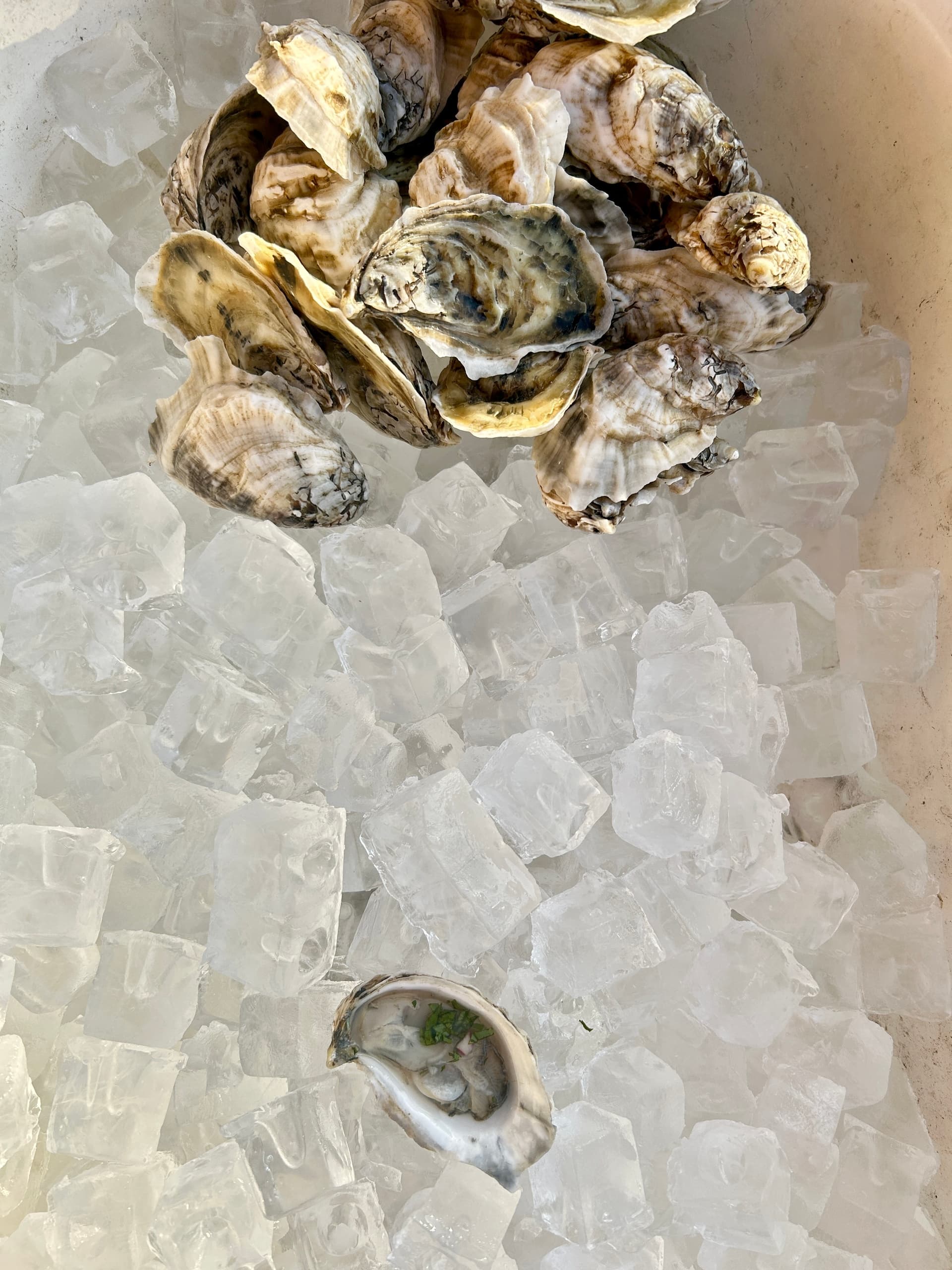 After-Hours Soul: Sally Baby's Three Silver Opera at the New Orleans Pharmacy Museum photo 2