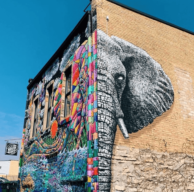 Green Bay Murals & Public Art Segway Tour with Segway the Door