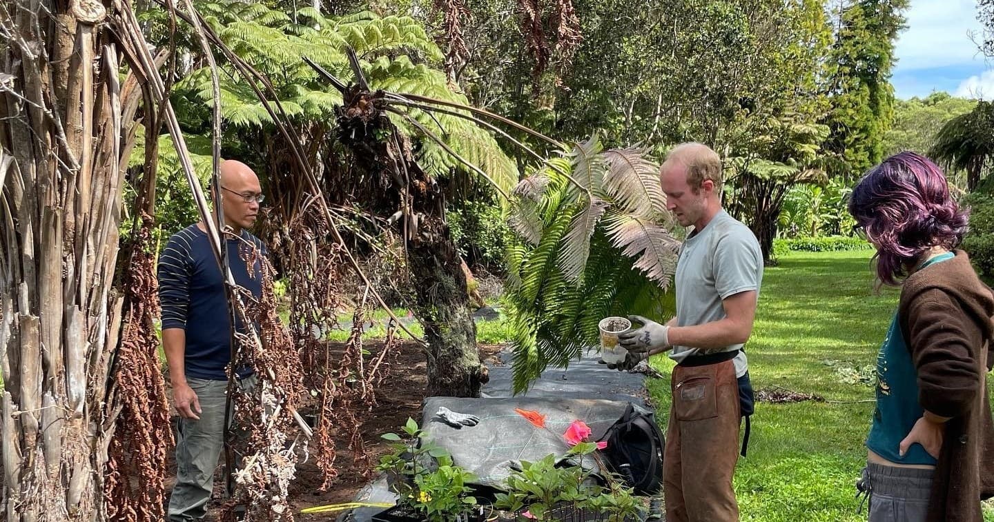 Wildland & Botanical Tour at Hawaii Forest Farms