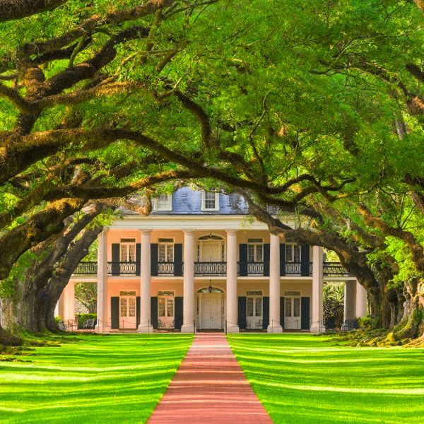 Discover the History and Grandeur of Oak Alley Plantation near New Orleans