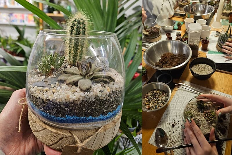Hands-On Cacti and Succulent Garden Workshop in York with York Gin