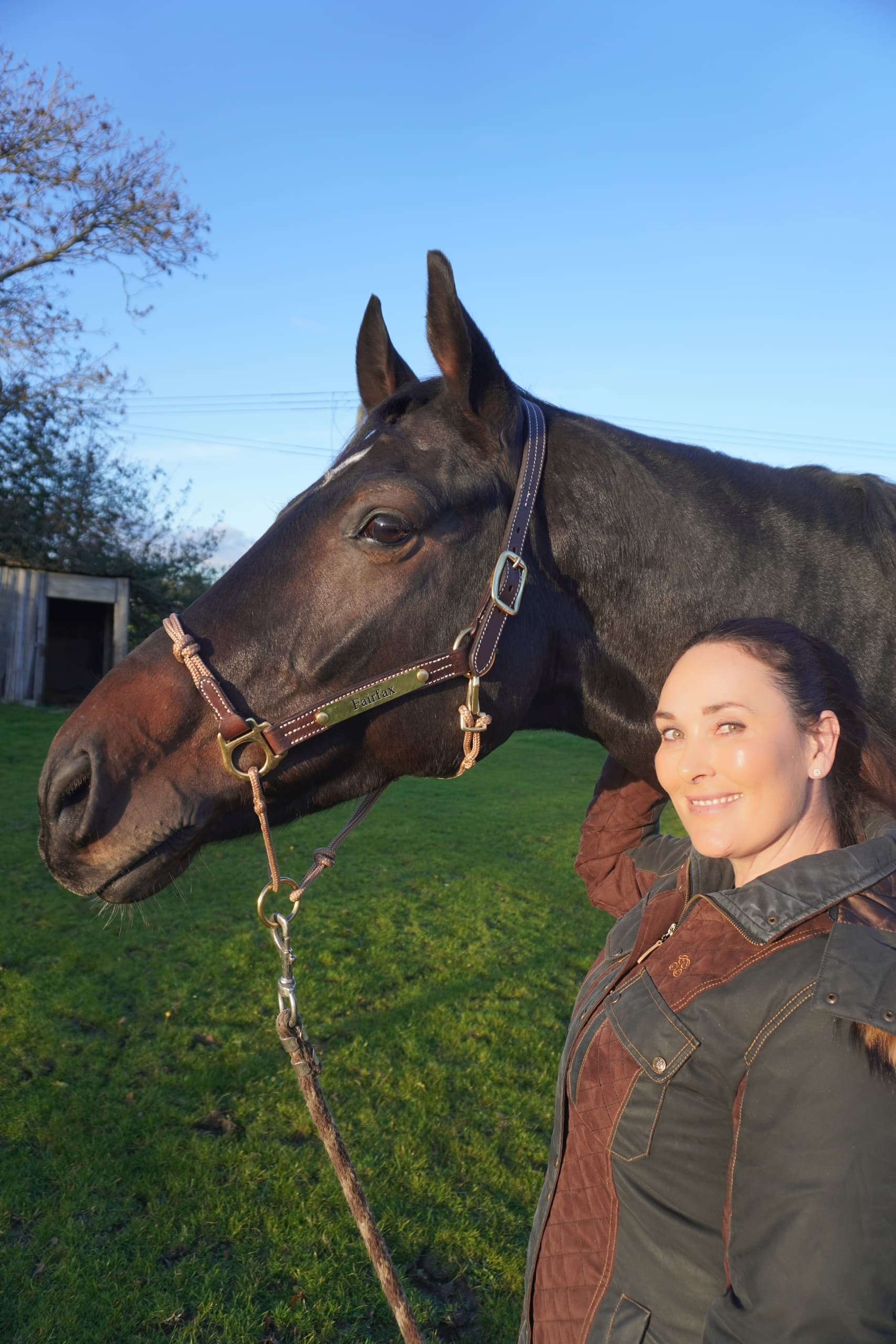 Ride With Fay: 30-Minute Private Lesson at Coombe Stables, Sway