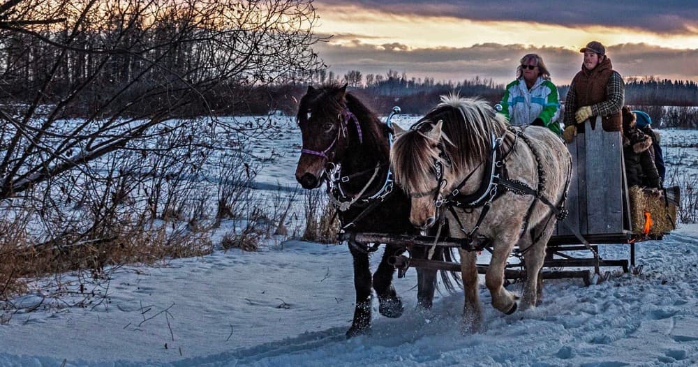 Horse-drawn sleigh ride through snowy rural landscape at sunset