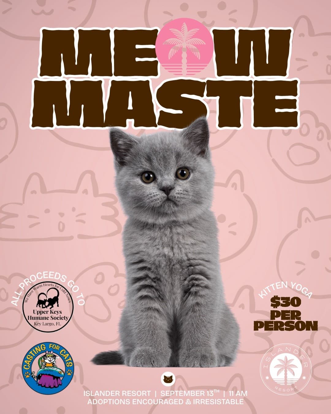 Meowmaste: Yoga with Kittens in Islamorada — Island Wellness in the Upper Keys photo 1