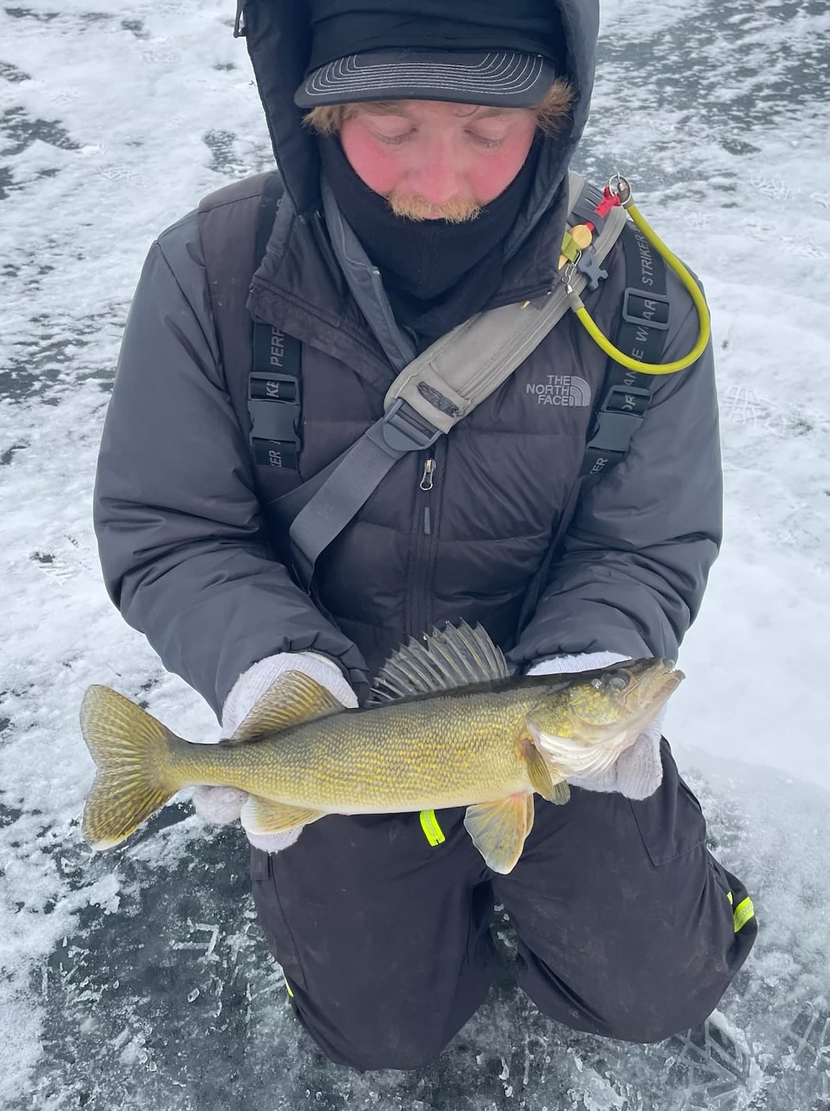 Chase the Night Bite: Guided Walleye Ice Fishing in Southeastern Wisconsin photo 3