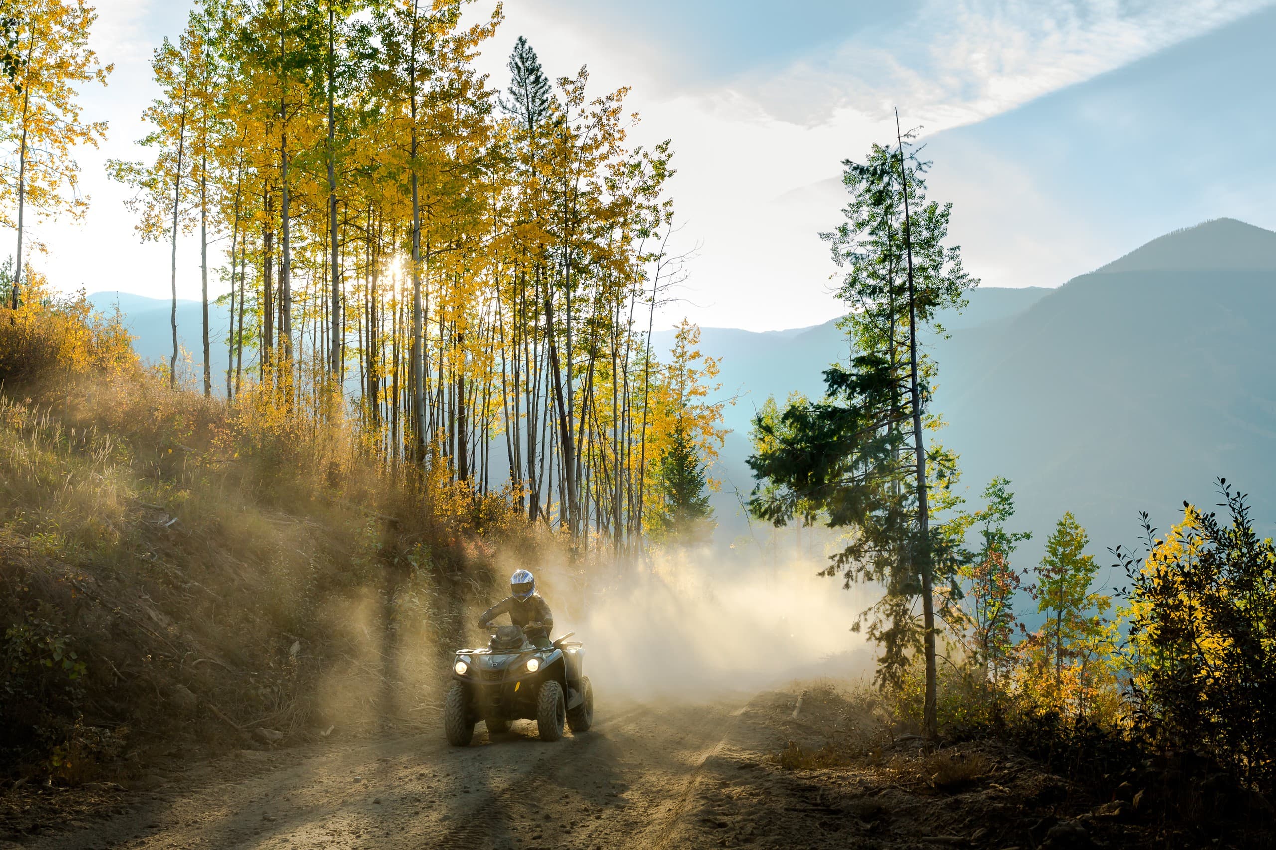 Golden Larches ATV/SXS Tour at Toby Creek Adventures (Panorama, BC) photo 3