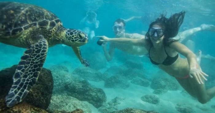 Canoe & Snorkel Adventure with Hulakai in Waikoloa Village