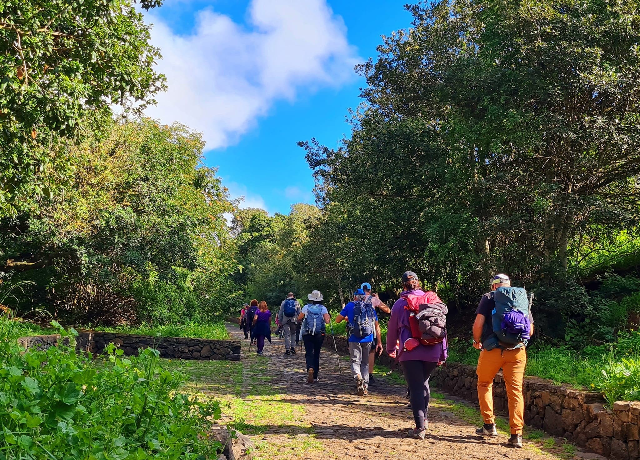 Cultural & Women’s History Tour with Tazirga in Tegueste
