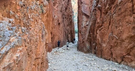 Land Adventures in West MacDonnell Ranges with Alice Holiday Tours