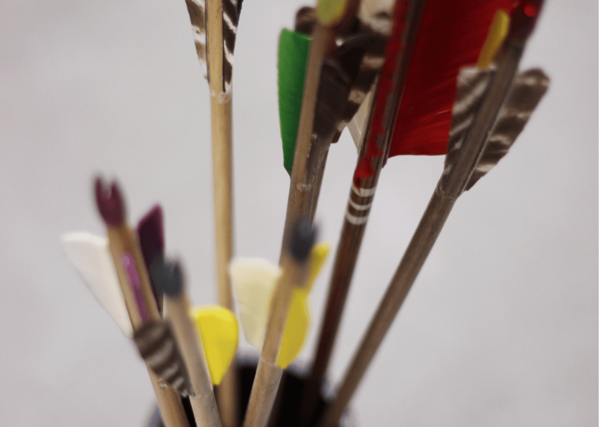 Archery Adventures at Far Shot Worcester