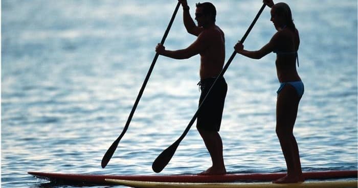 Maui Surf and SUP fleet