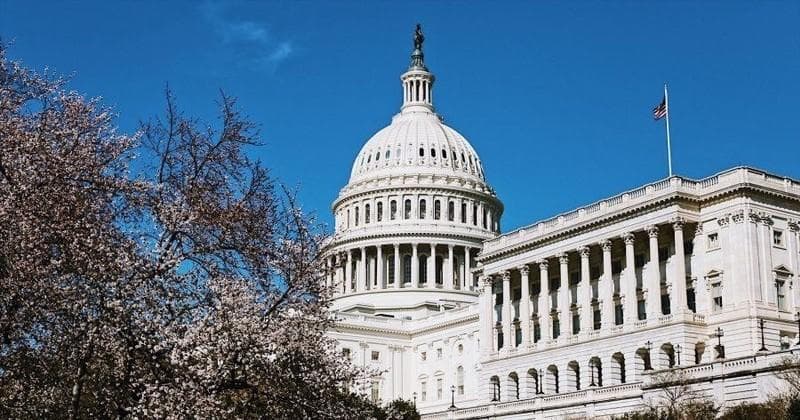 Babylon Tours Washington D.C. fleet