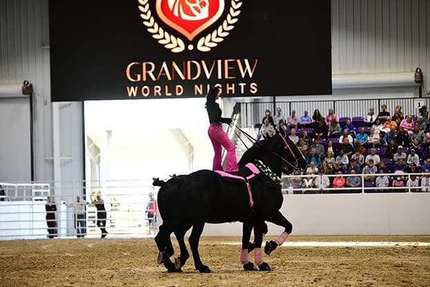 Grandview World Nights: Clydesdales, Percherons & Six-Horse Hitch Action in Ocala photo 2