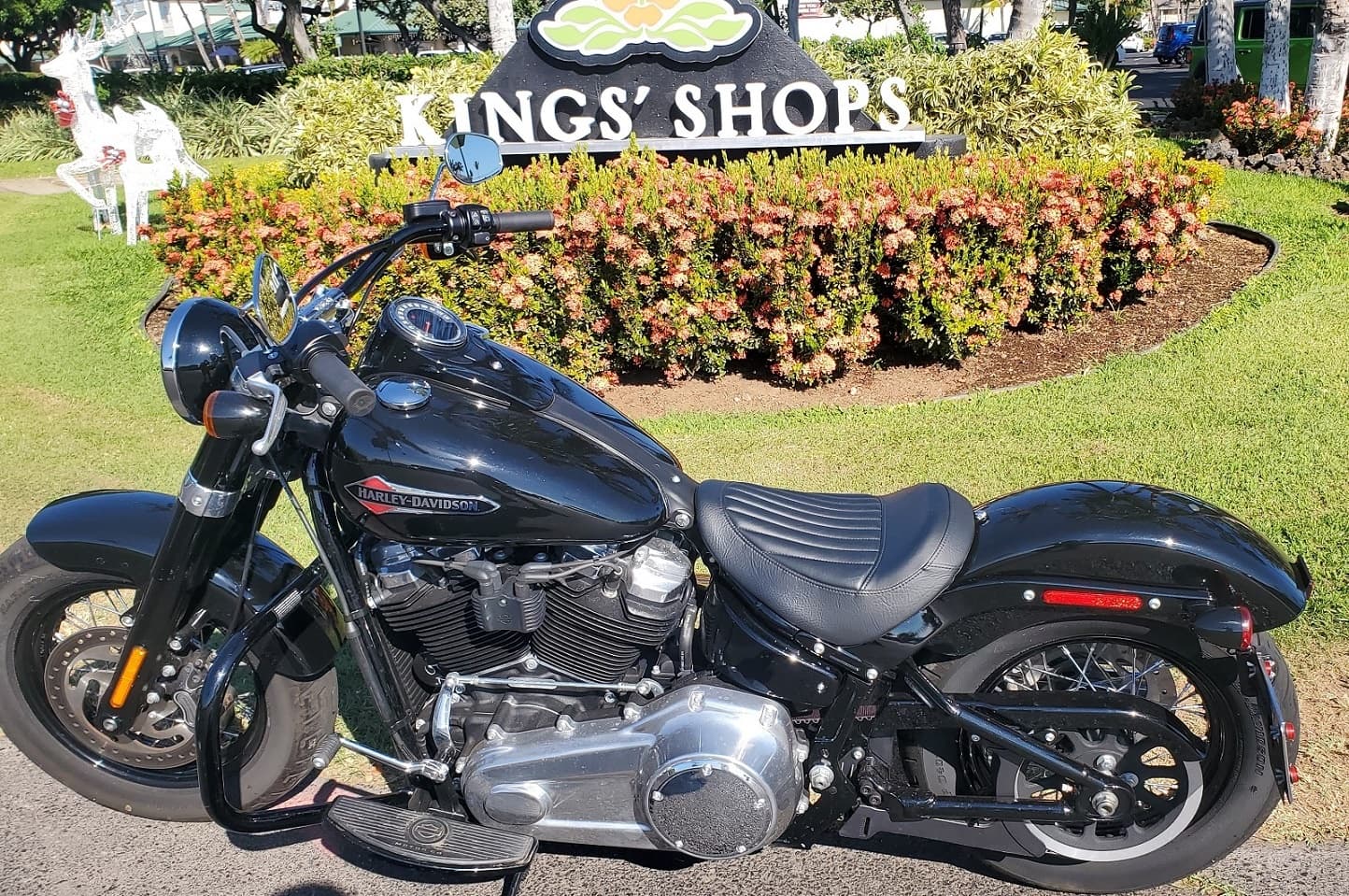 Motorized Land Adventure with Big Island Motorcycle Company