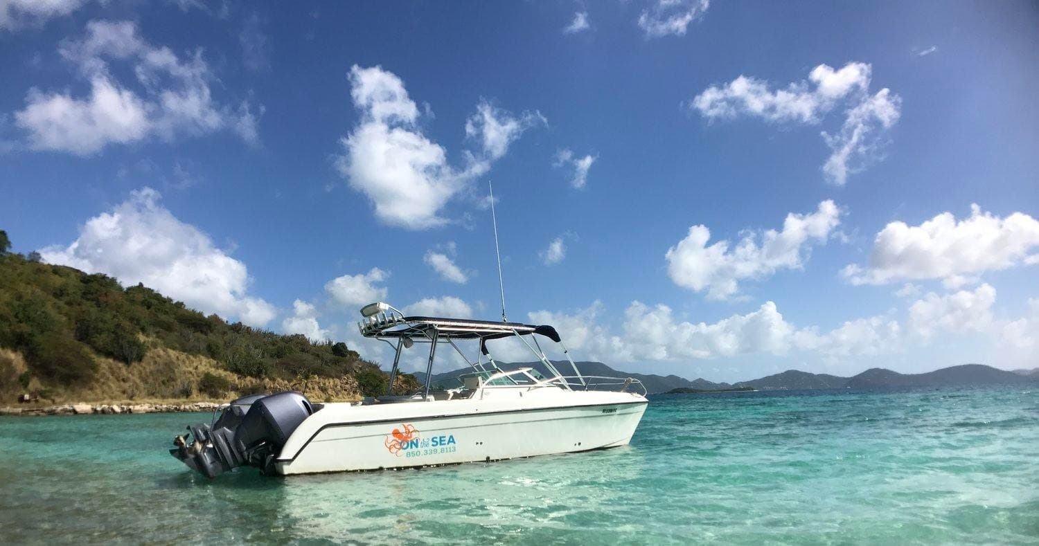 Half-Day Water Taxi & Snorkel from Cruz Bay with On The Sea Charters photo 2